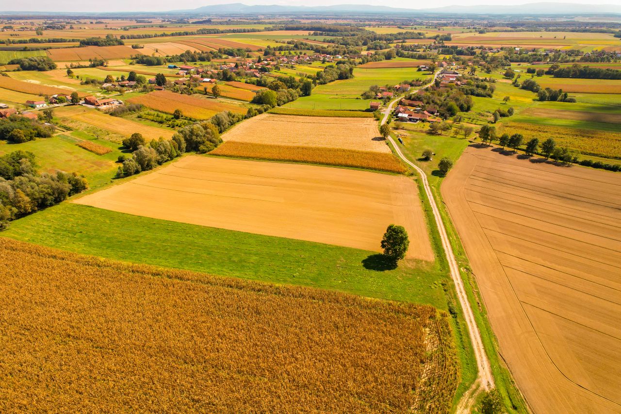 Skup działek i gruntów Olsztyn 2